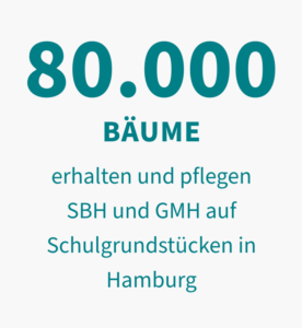 80.000 Bäume erhalten und pflegen SBH und GMH auf Schulgrundstücken in Hamburg
